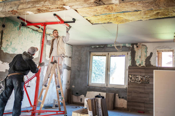 Best Insulation Maintenance and Repair in Lockport, IL